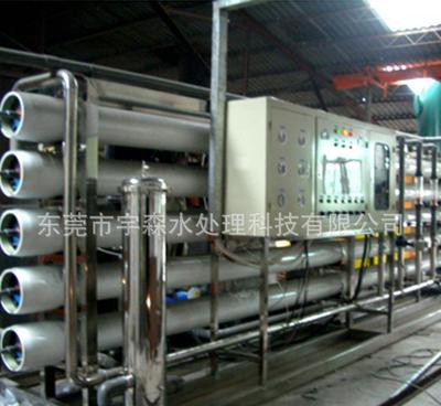 25吨反渗透纯水处理设备 高效工业净水解决方案